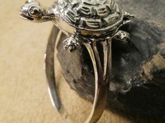 Inel argint Poison Ring Broscuta